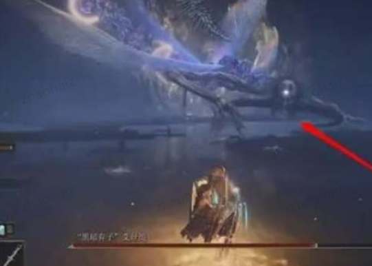 艾尔登法环菈妮支线任务流程详解