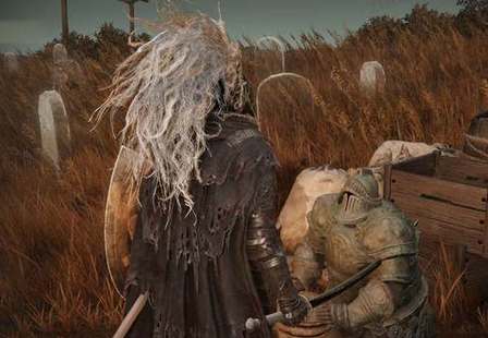 艾尔登法环dlc托梨娜支线任务流程攻略