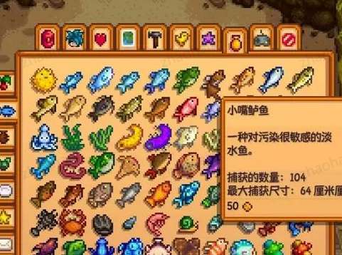 星露谷物语小嘴鲈鱼在哪里钓