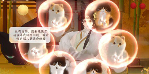 忘川风华录名士猫怎么获得