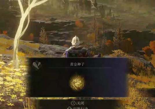 艾尔登法环黄金种子会溢出吗