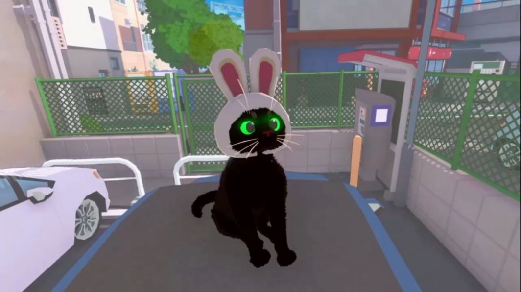 大城小猫截图2