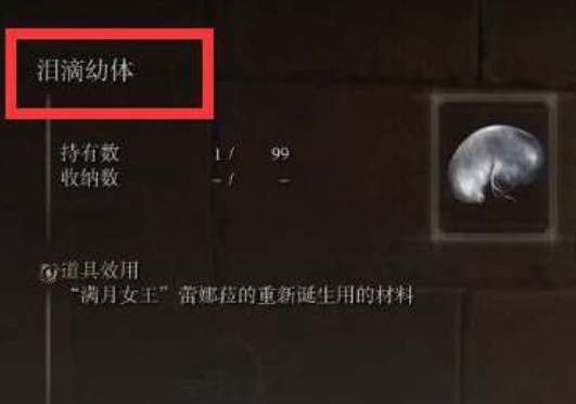 艾尔登法环洗点道具哪里获得