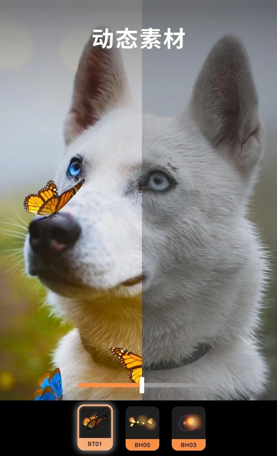 motionleap剪辑软件截图