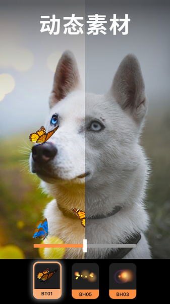 motionleap专业版免费截图