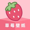 草莓壁纸app下载免费-草莓壁纸app下载免费最新版v1.7.2