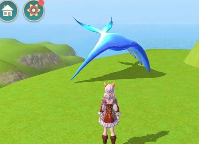 创造与魔法天空鳐饲料保底需要多少包