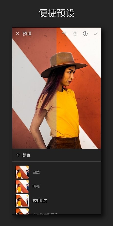 adobe lightroom安卓版截图