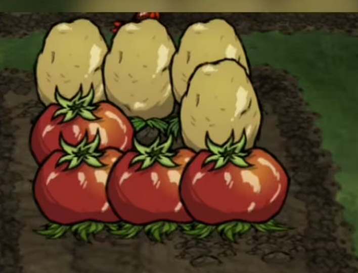 饥荒巨大作物种植搭配图