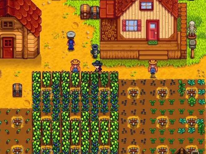 星露谷物语夏天种植农作物收益一览