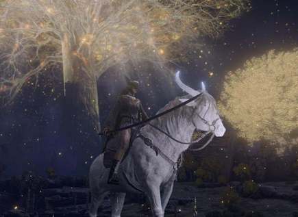 艾尔登法环召唤灵马按键介绍