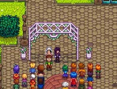 星露谷可结婚npc角色图鉴