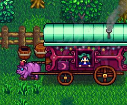 星露谷猪车出现时间及购买建议