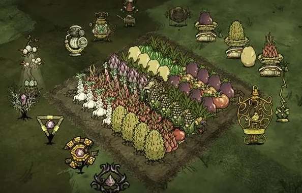 饥荒夏天种什么巨大植物