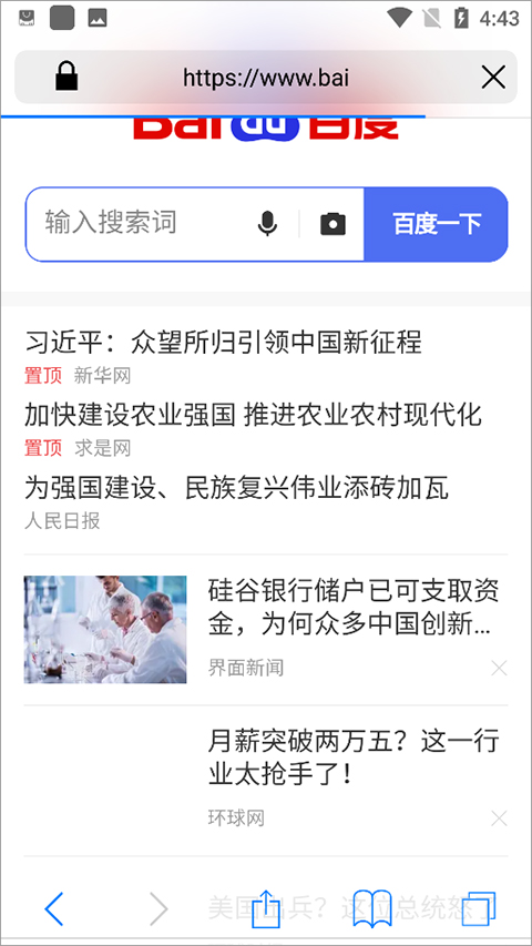 Safari iOS浏览器截图