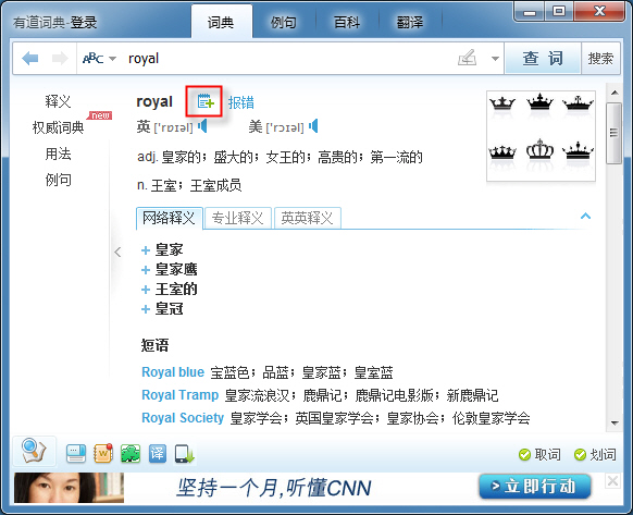 有道词典免安装版截图