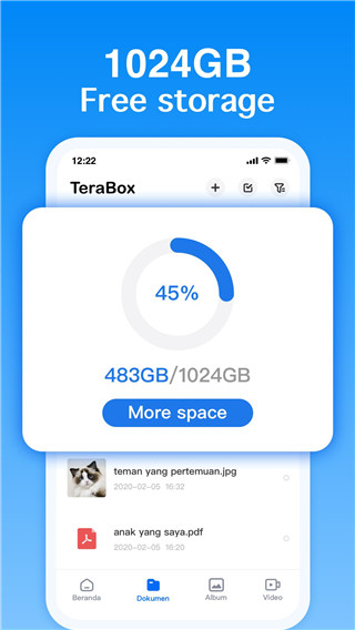 百度网盘国际版截图