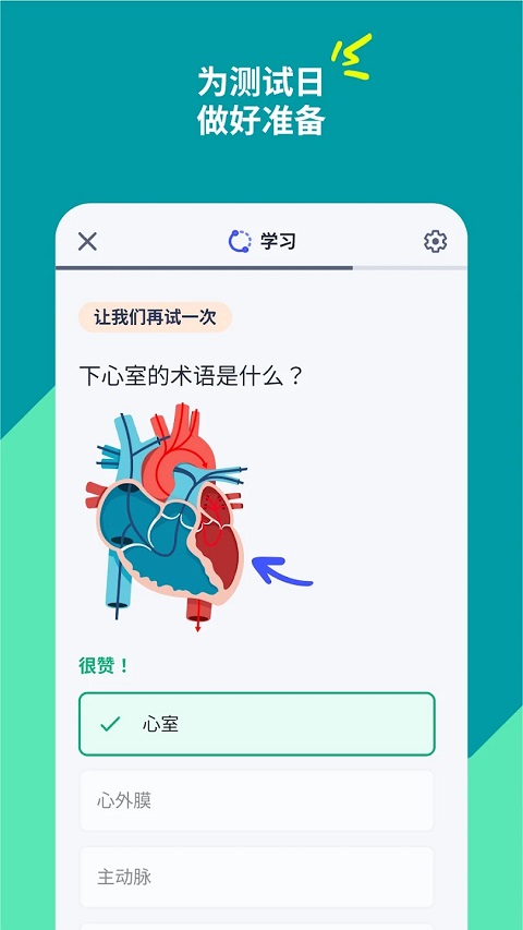 Quizlet截图3