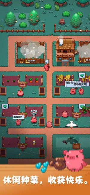 开拓猪之岛截图