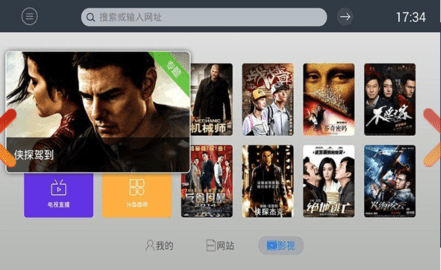 飞视浏览器TV版截图
