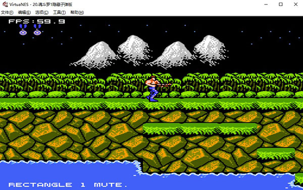 Virtuanes模拟器截图