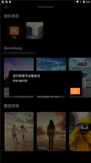 pixaloop汉化版截图