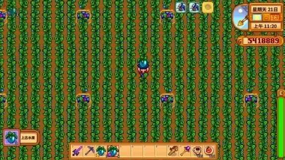 stardew valley手机版截图