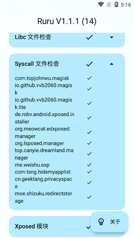 Ruru环境检测截图