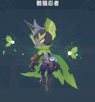 猎风传说酷猫忍者怎么搭配