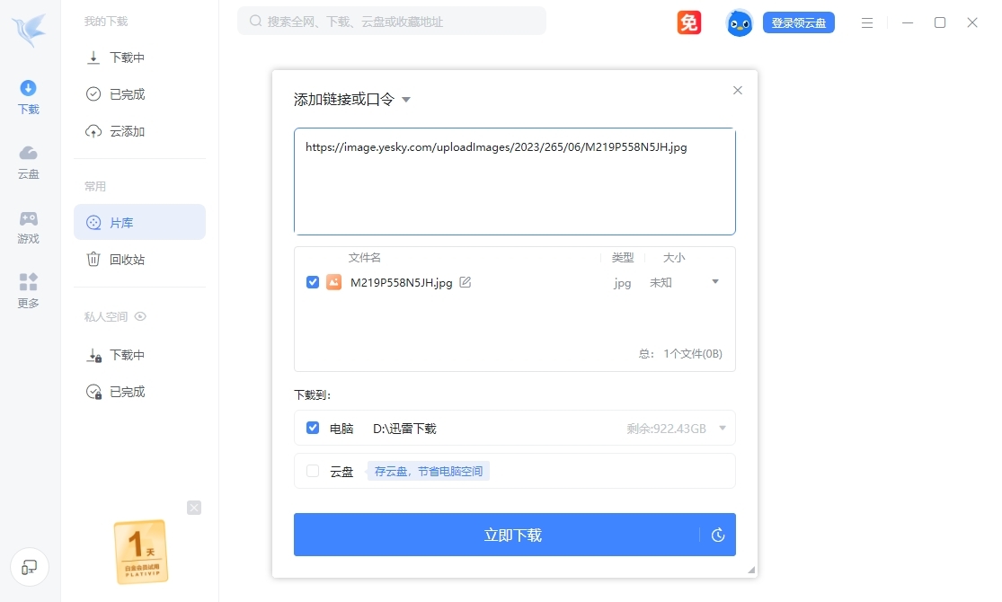 迅雷共存版截图