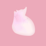 生命life安卓版中文版