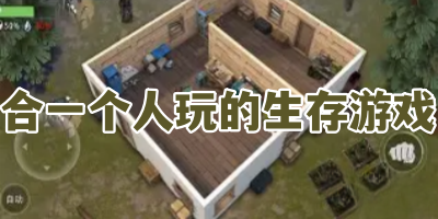 合一个人玩的生存游戏