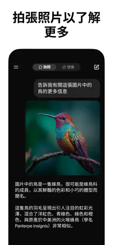 grok4.1截图