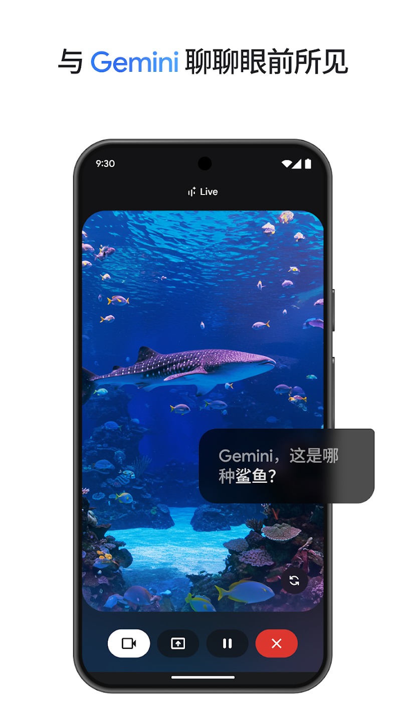 gemini人工智能截图1