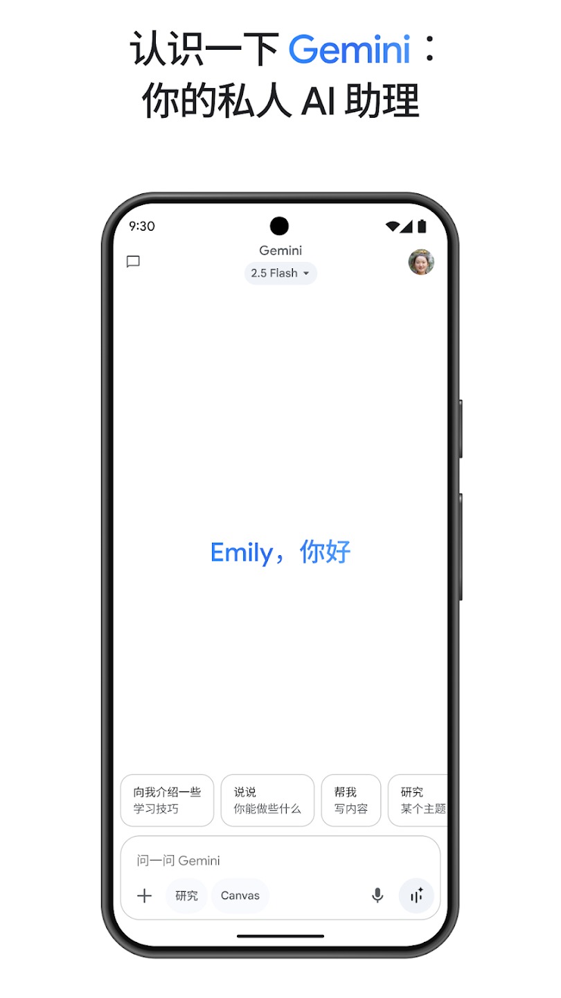 gemini人工智能截图2