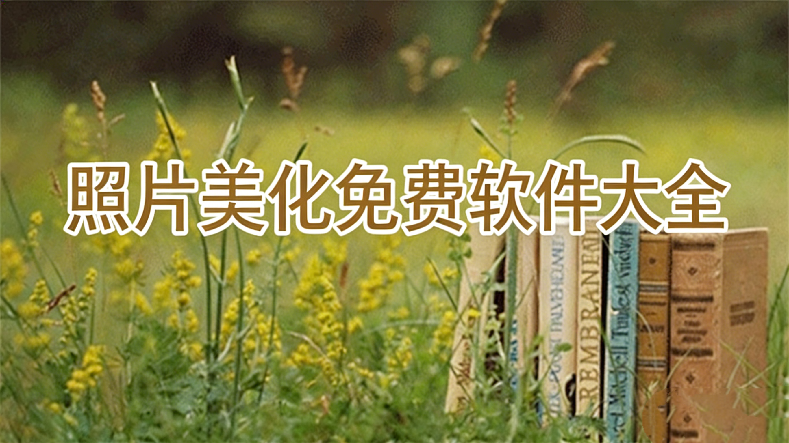 照片美化免费软件大全