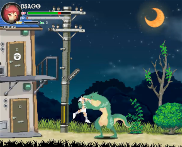 米莉亚战记dx安装包截图