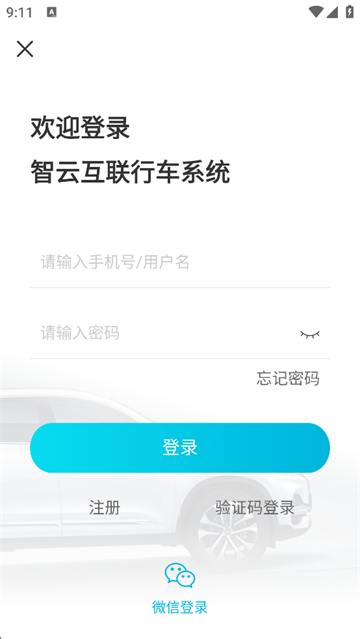 智云互联奇瑞app截图