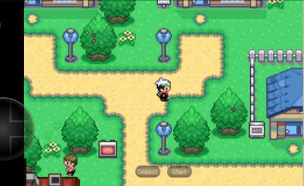 口袋妖怪空之花神截图