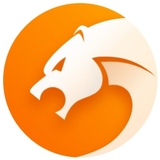 猎豹浏览器32位v6.3.108.11949
