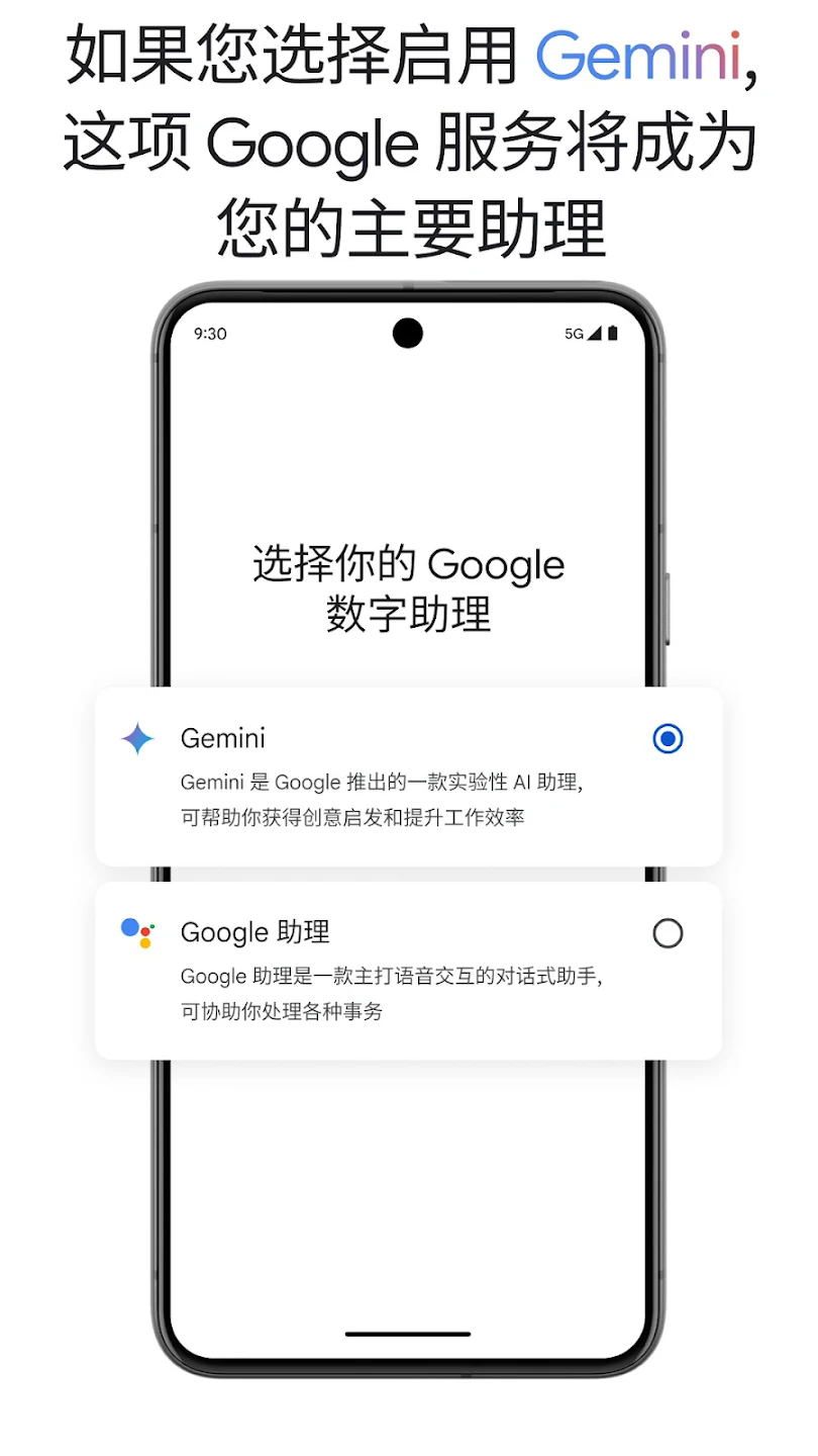 谷歌gemini安卓版截图3