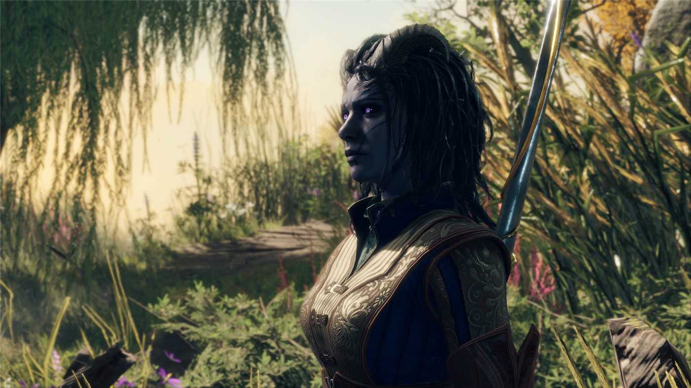 博德之门3修改器截图