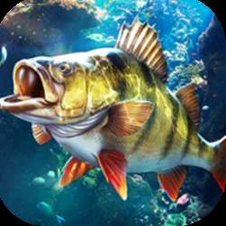 钓鱼大师模拟