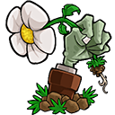 植物大战僵尸仿E版支线