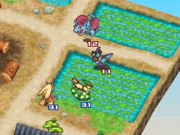 口袋妖怪白金光2汉化版截图