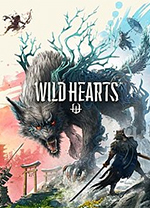 狂野之心修改器