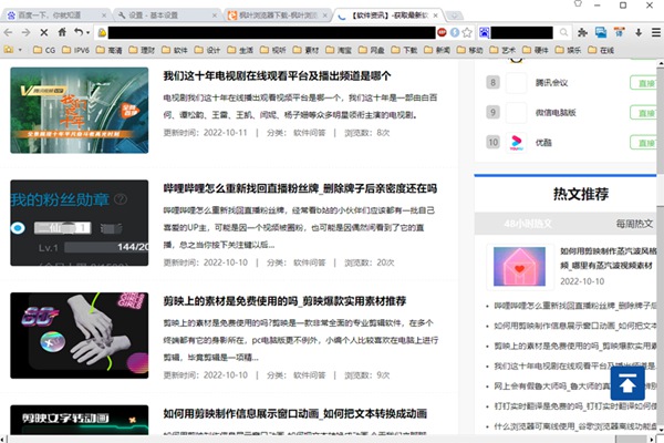 枫树浏览器截图