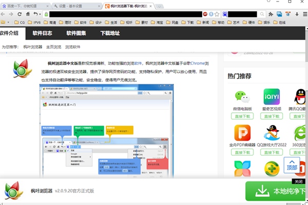 枫树浏览器截图
