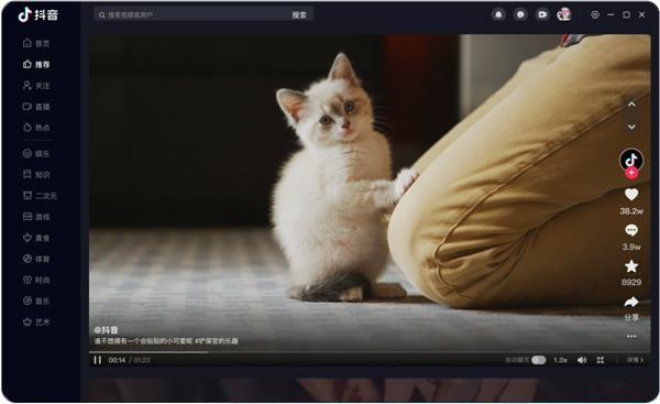 抖音短视频车机版截图