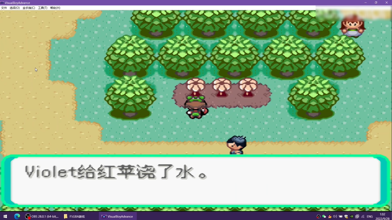 visualboyadvance截图